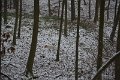 Wandertag 2017 - 043